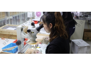 貼片共模電感方向如何區(qū)分你知道嗎？